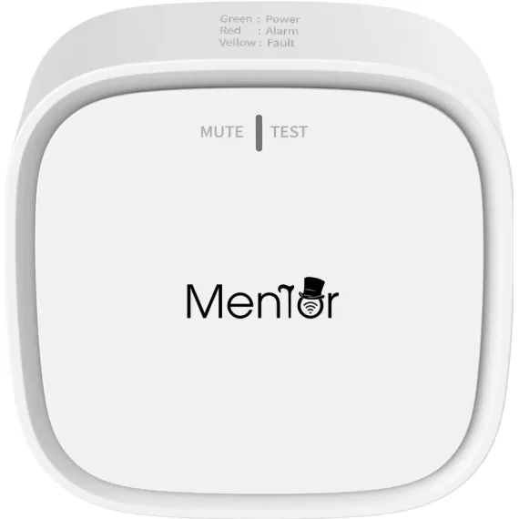 Detector, Senzor de Gaz Smart wireless WiFI Mentor SY070 2in1 cu avertizare pe telefon si acustica 2.4GHz indicator LED-2
