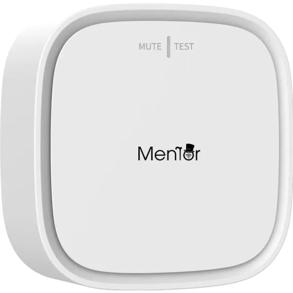 Detector, Senzor de Gaz Smart wireless WiFI Mentor SY070 2in1 cu avertizare pe telefon si acustica 2.4GHz indicator LED-3